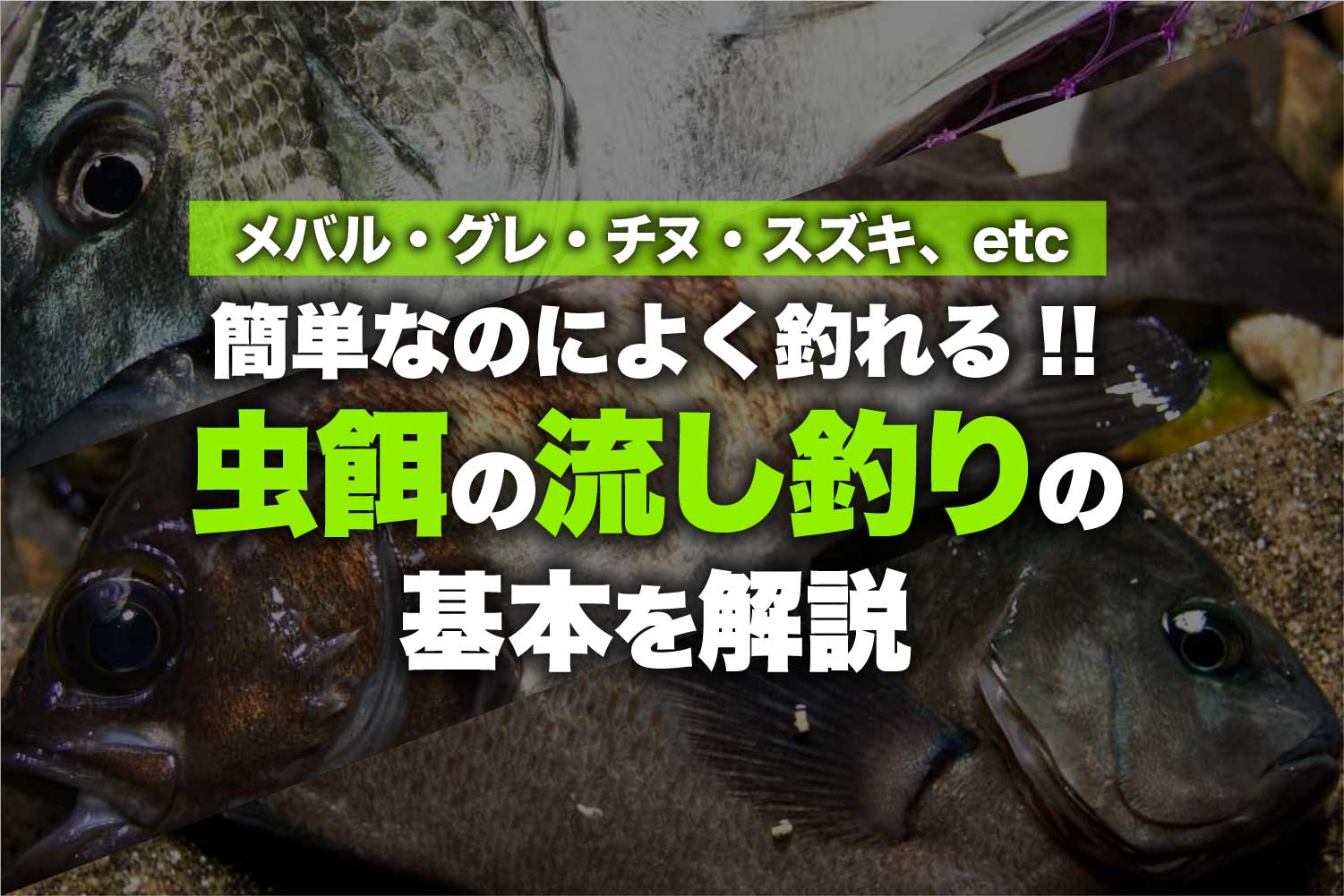 簡単なのによく釣れる!! 虫餌の流し釣りの基本を解説 - Nagashitsuri 01