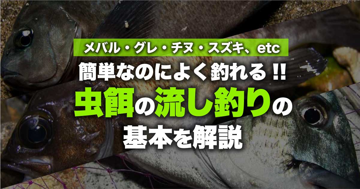 簡単なのによく釣れる 虫餌の流し釣りの基本を解説 関西のつりweb 釣りの総合情報メディアmeme