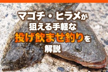 マゴチ・ヒラメが狙える手軽な投げ飲ませ釣りを解説 | 関西のつりweb | 釣りの総合情報メディアMeME