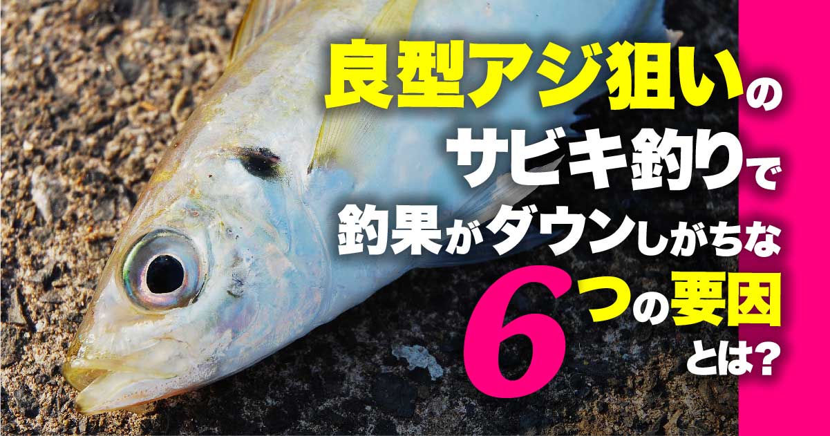 良型アジ狙いのサビキ釣りで釣果がダウンしがちな６つの要因とは 関西のつりweb 釣りの総合情報メディアmeme