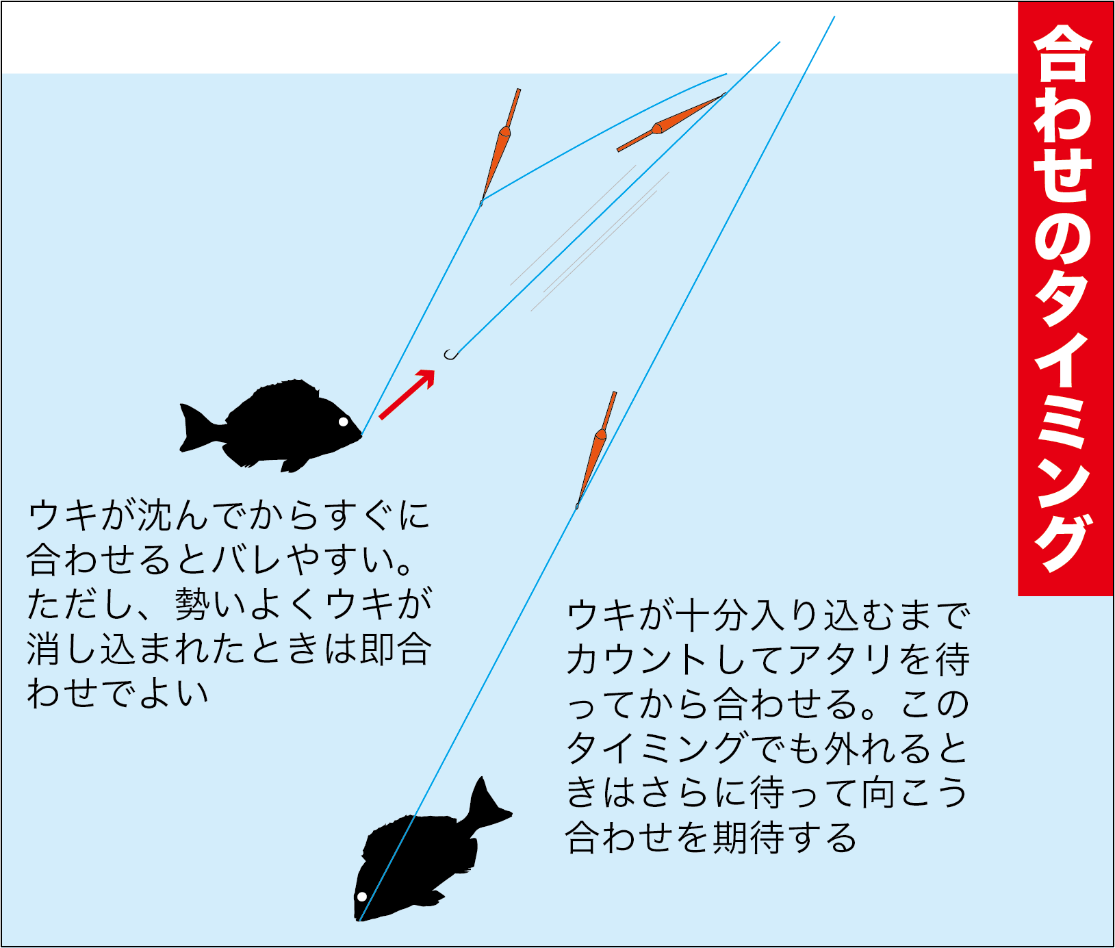 チヌ フカセ釣りの悩みを解消 ハリ掛かりをよくする方法は 関西のつりweb 釣りの総合情報メディアmeme