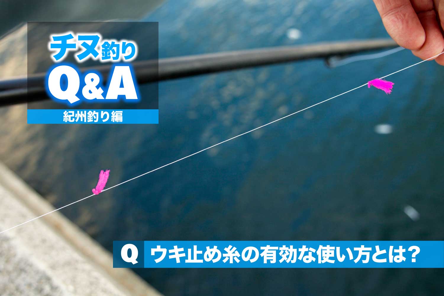 チヌ 紀州釣りの悩みを解決 ウキ止め糸の有効な使い方とは 関西のつりweb 釣りの総合情報メディアmeme