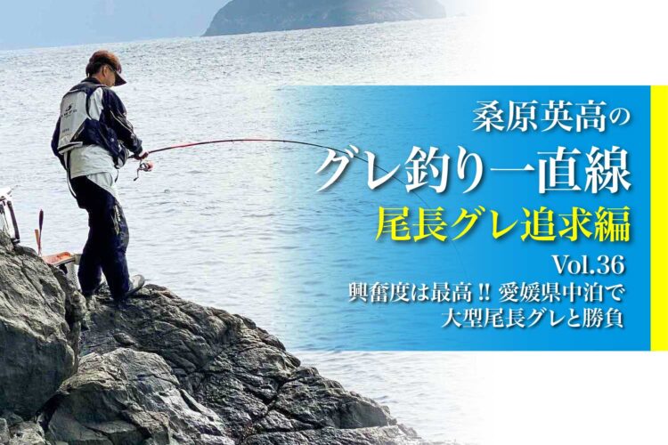 釣り方 釣り場の情報が充実 魚釣りの情報サイト 関西のつりweb