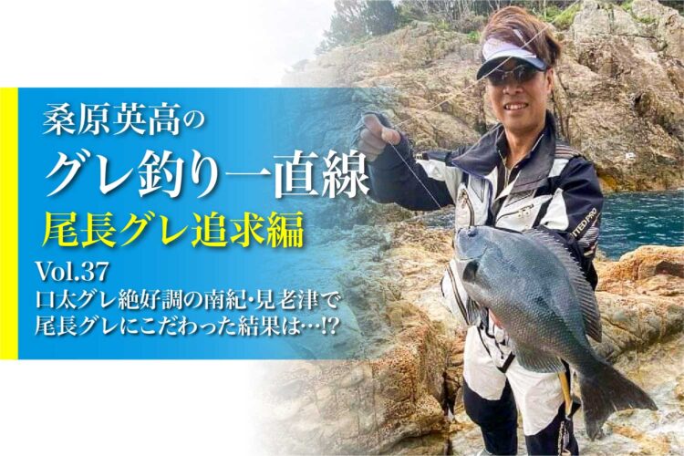 釣り方 釣り場の情報が充実 魚釣りの情報サイト 関西のつりweb