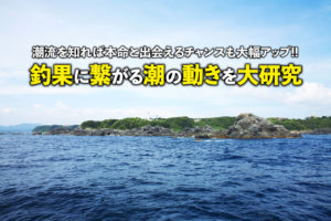 潮流を知れば本命に出会えるチャンスも大幅アップ 釣果に繋がる潮の動きを大研究 Swマガジンweb 海のルアーマンのための総合情報メディア