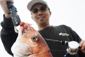 タイラバ・遊動式ラバージグ入門 | SWマガジンweb | 海のルアーマンの