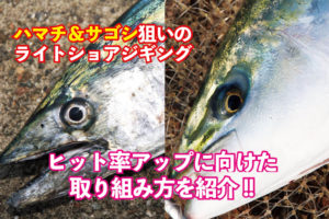 ハマチ＆サゴシ狙いのライトショアジギング】ヒット率アップに