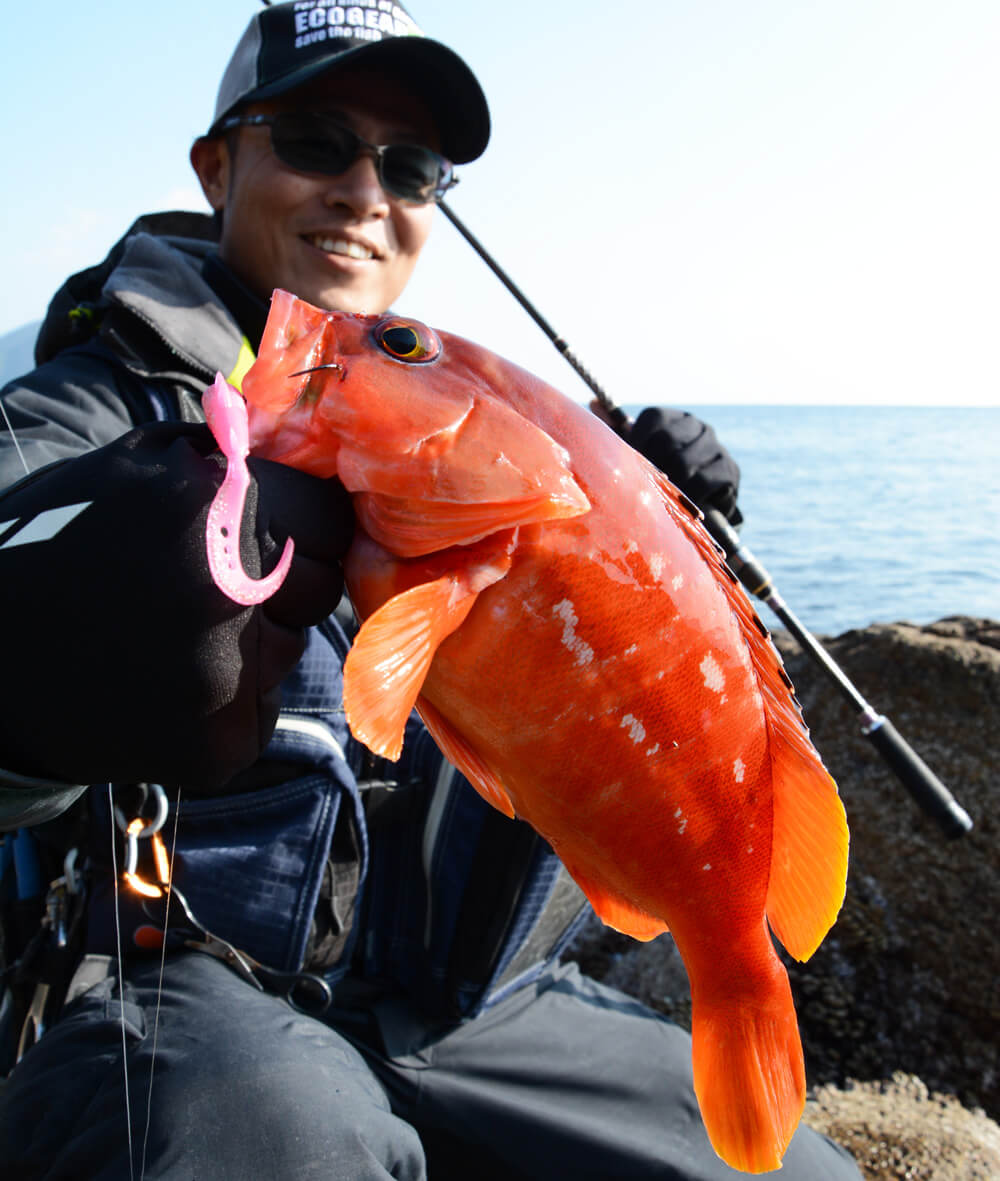 75 夏 ロック フィッシュ すべての魚の画像