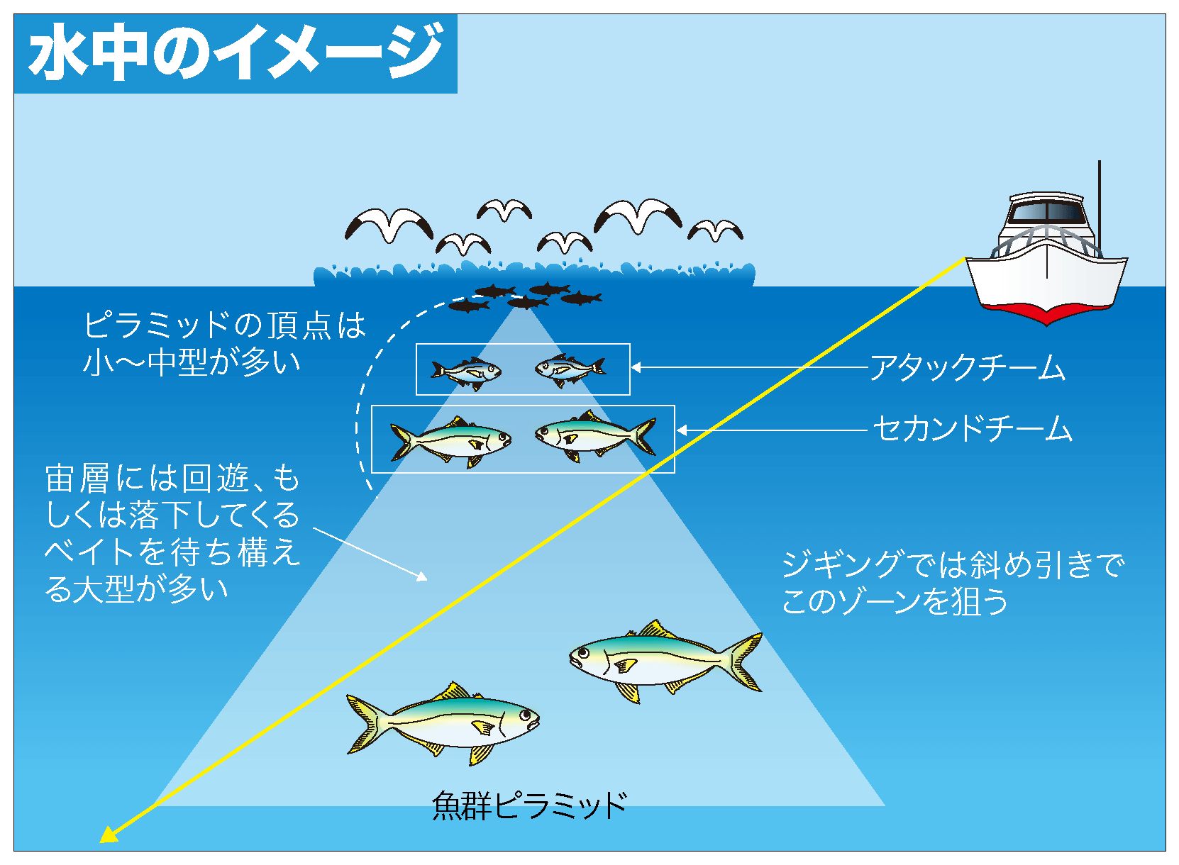 青物キャスティング-