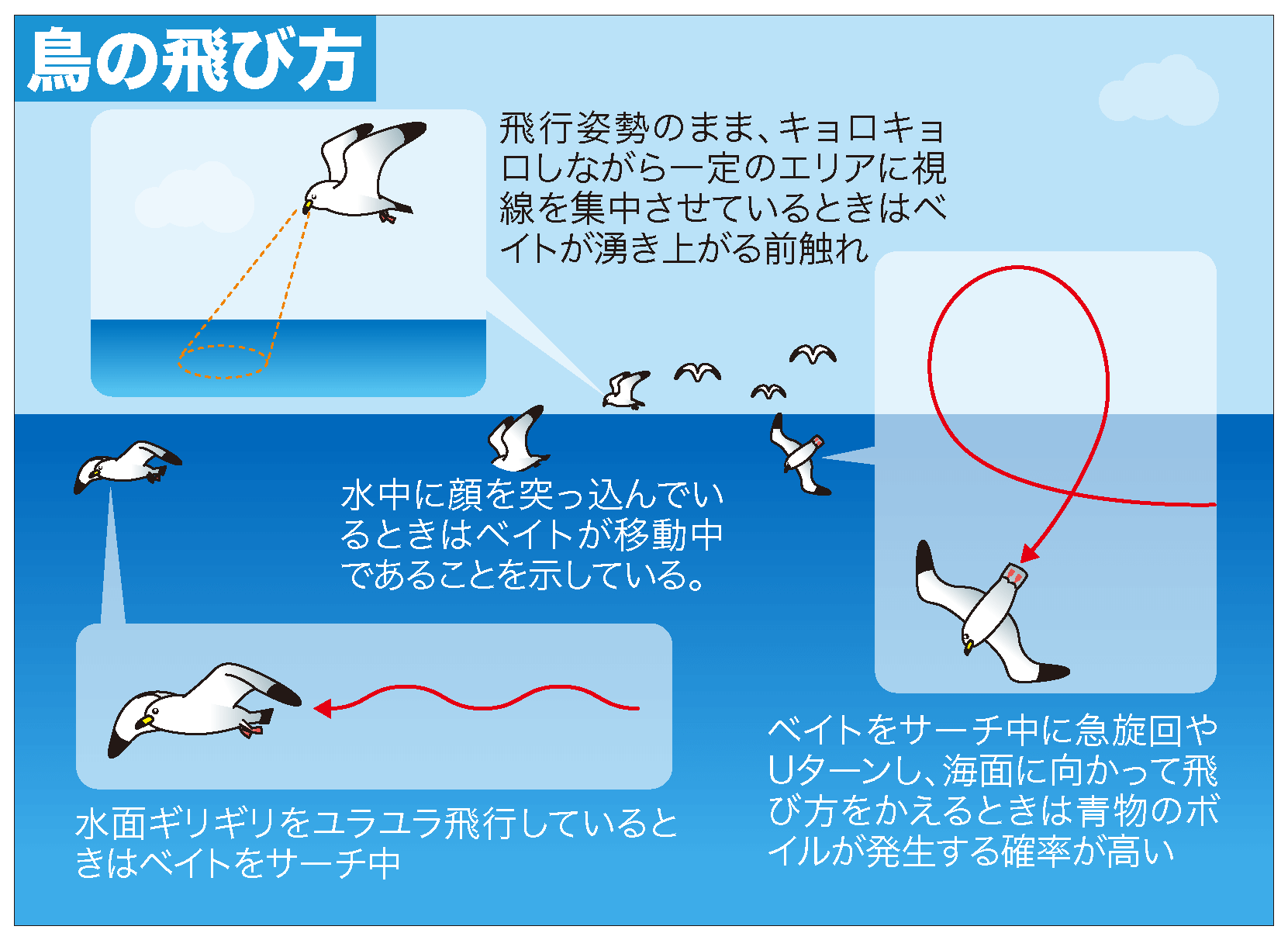 オフショアキャスティング＆ジギング VS 青物】状況に応じた２パターン