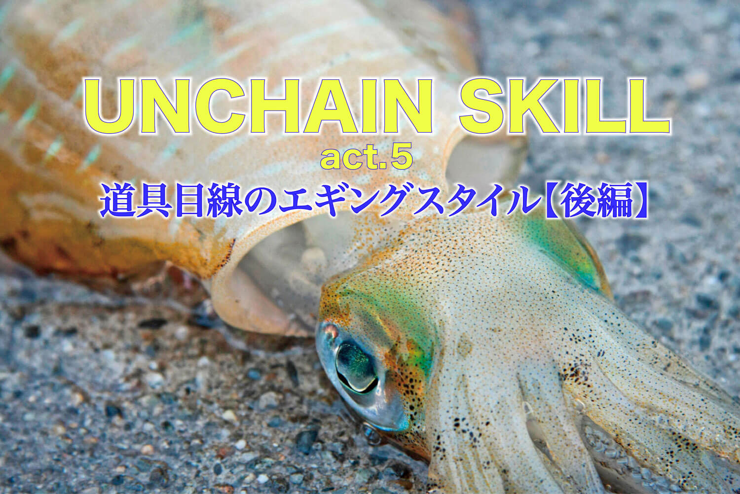 Unchain Skill Act 5 道具目線のエギングスタイル 後編 Sw 釣り人のためのメディア