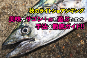 秋のライトショアジギング 美味なサゴシ Aと遊ぶための手法を徹底ガイド Swマガジンweb 海のルアーマンのための総合情報メディア