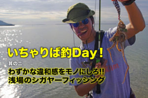 シガヤー　10月22日採りたて　釣りエサ 浅場のシガヤーフィッシング｜【いちゃりば釣Day！ 其の二】 | SW