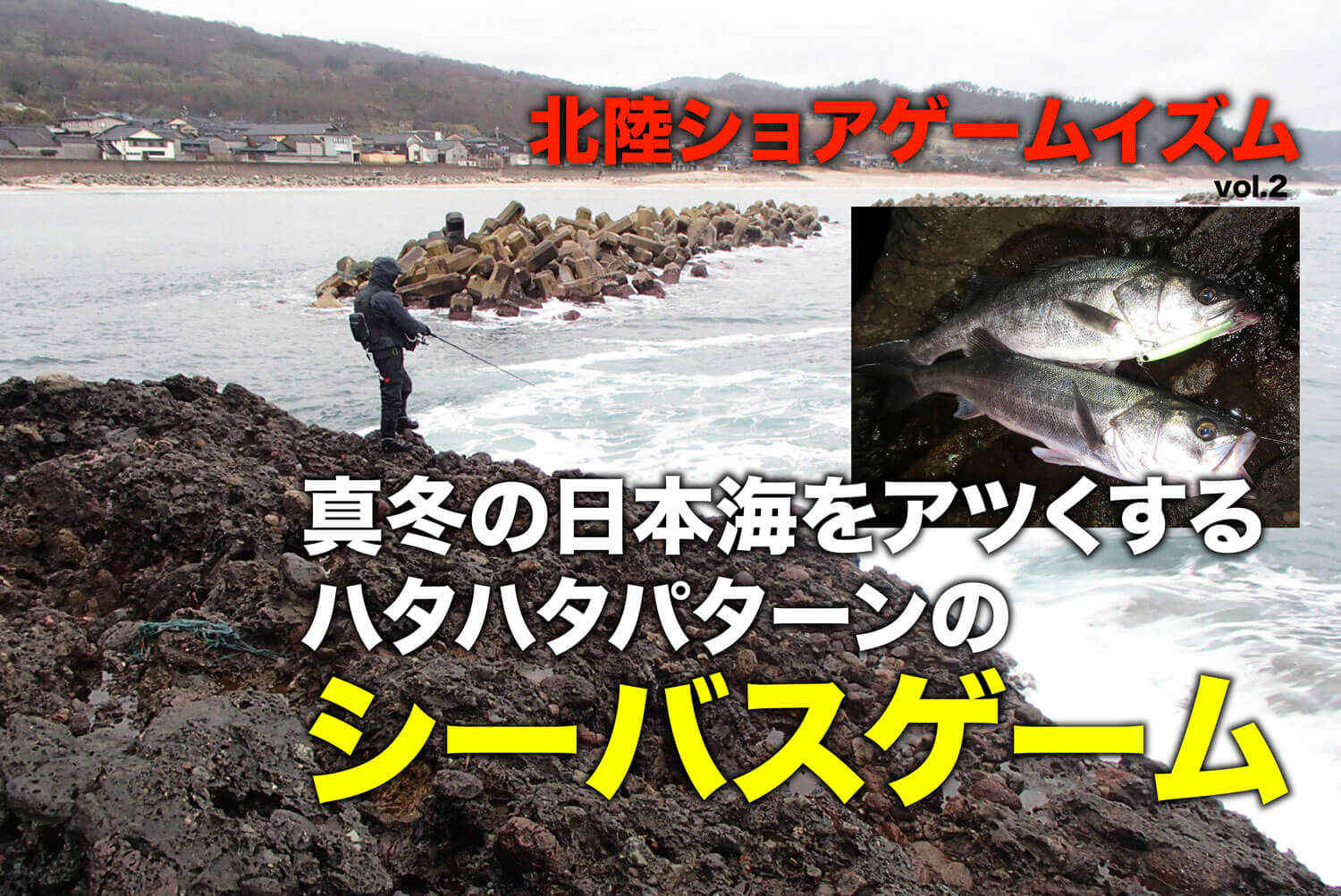 真冬の日本海をアツくする ハタハタパターンのシーバスゲーム 北陸ショアゲームイズム Vol 2 Sw 釣り人のためのメディア