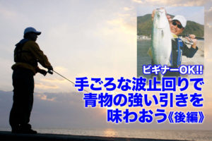 海釣り 海釣り