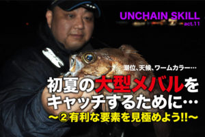 初夏の大型メバルをキャッチするために 有利な要素を見極めよう Unchain Skill Act 11 Sw 釣り人のためのメディア