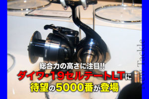 19950円 即納在庫有り 19セルテート LT5000D-XH リール