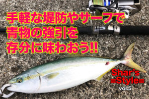 手軽な堤防やサーフで青物の強引を存分に味わおう!!｜【Shar's=Style