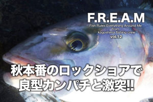 カンパチ 大皿 1点物 陶器 特別価格 検索（ヒラスズキ 青物