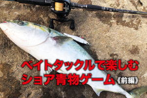 ベイトタックルで楽しむショア青物ゲーム《前編》 | SWマガジンweb