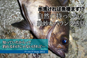 水清ければ魚棲まず 自然の持っている絶妙なバランス感覚 知っていたからって釣れるわけじゃないけれど アーカイブ From 12 Swマガジンweb 海のルアーマンのための総合情報メディア