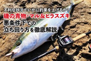 青物用プラグ４点　ブリカンパチヒラマサヒラスズキ sw200507sj_zun1-01-300x200.jpg