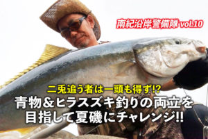 青物 ヒラスズキ釣りの両立を目指して夏磯にチャレンジ 南紀沿岸警備隊 Vol 10 Swマガジンweb 海のルアーマンのための総合情報メディア