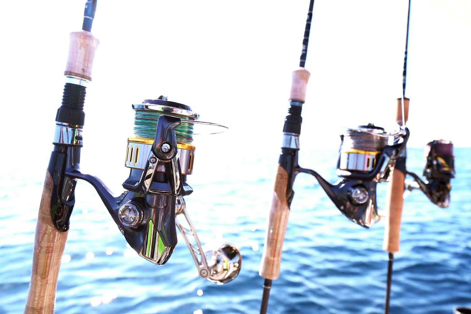 スピネギを動画で紹介 根魚主体に青物も獲れるライトジギングを徹底解説 Swマガジンweb 海のルアーマンのための総合情報メディア