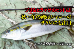 ブリ ヒラマサのヒットも 秋 冬の磯はシャローのサラシにも注目 ショア大型青物への道 Vol 19 Swマガジンweb 海のルアーマンのための総合情報メディア