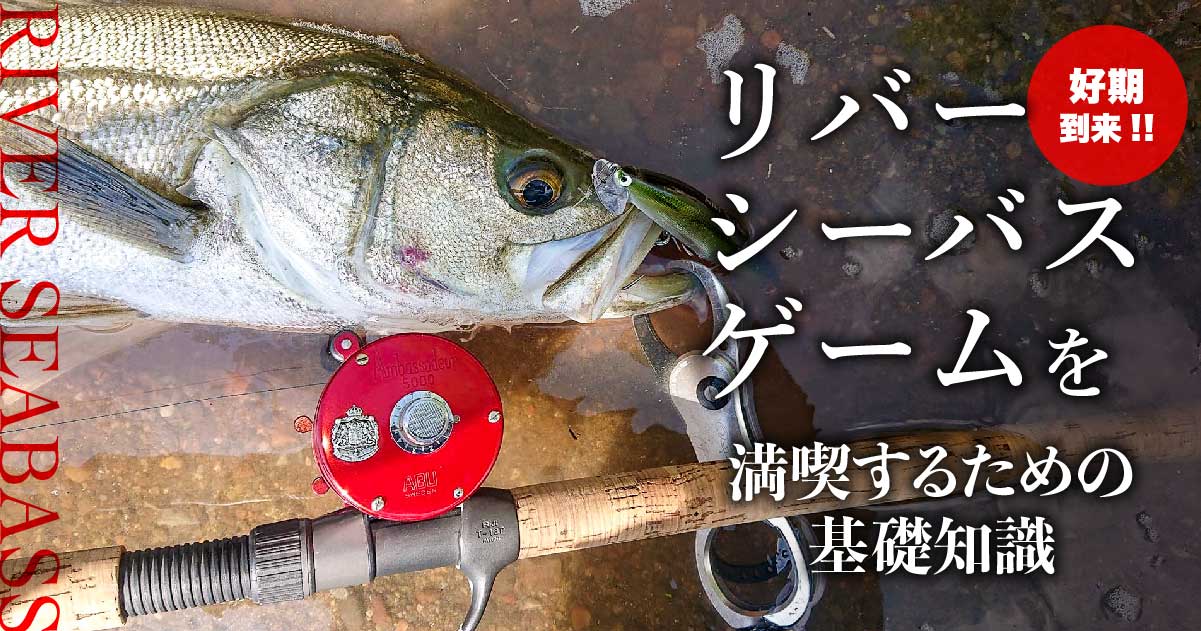 RIVERseabass-02.jpg