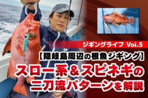 スロージギング、スピネギのジグセットケース付き スロージギング、スピネギのジグセットケース付き